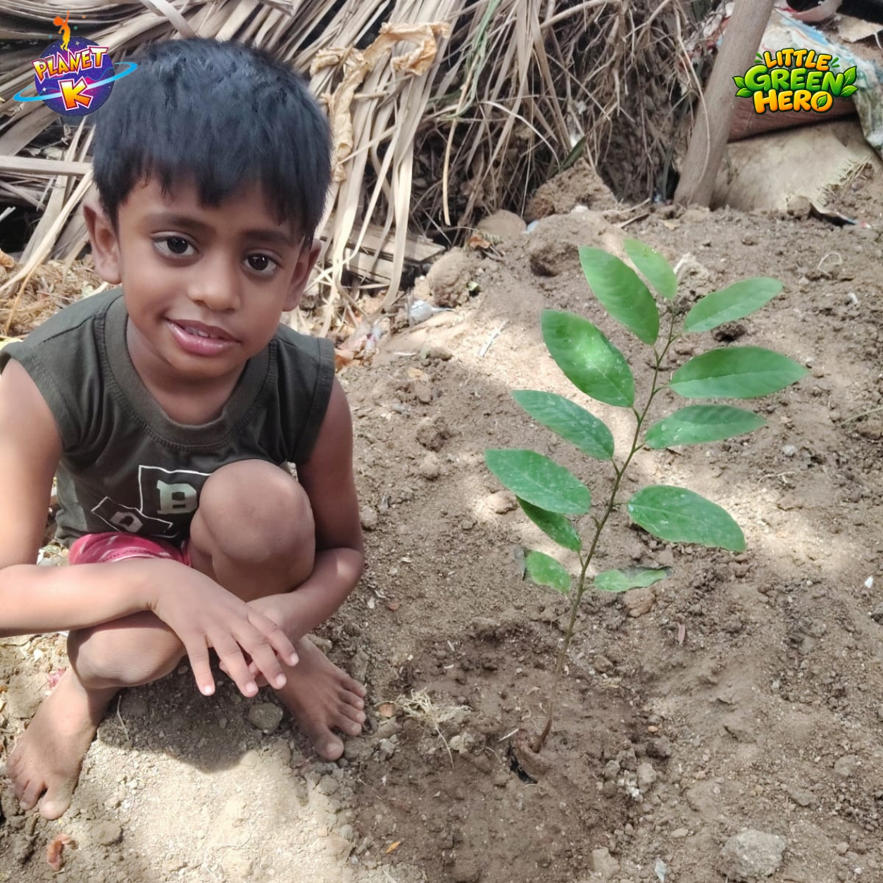 Planet K Sapling Plantation Event